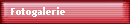 Fotogalerie
